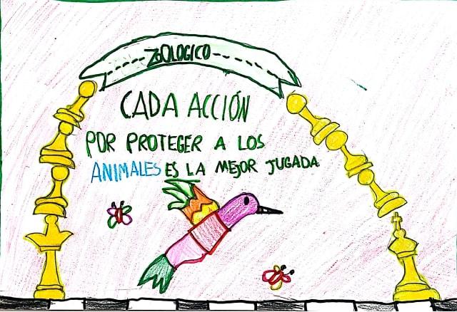 Cada acción por proteger a los animales es la mejor jugada - Santiago Chavarro (COLOMBIA)