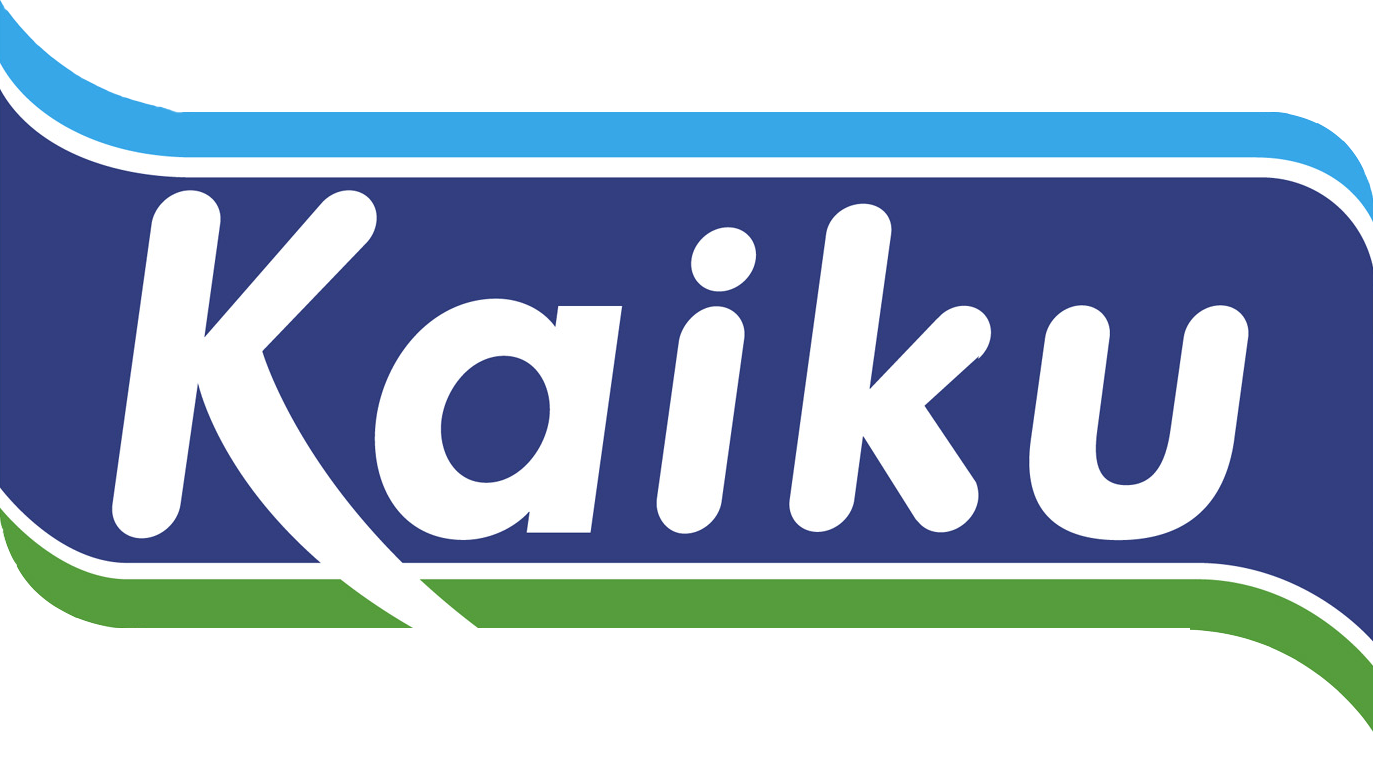 kaiku expochess