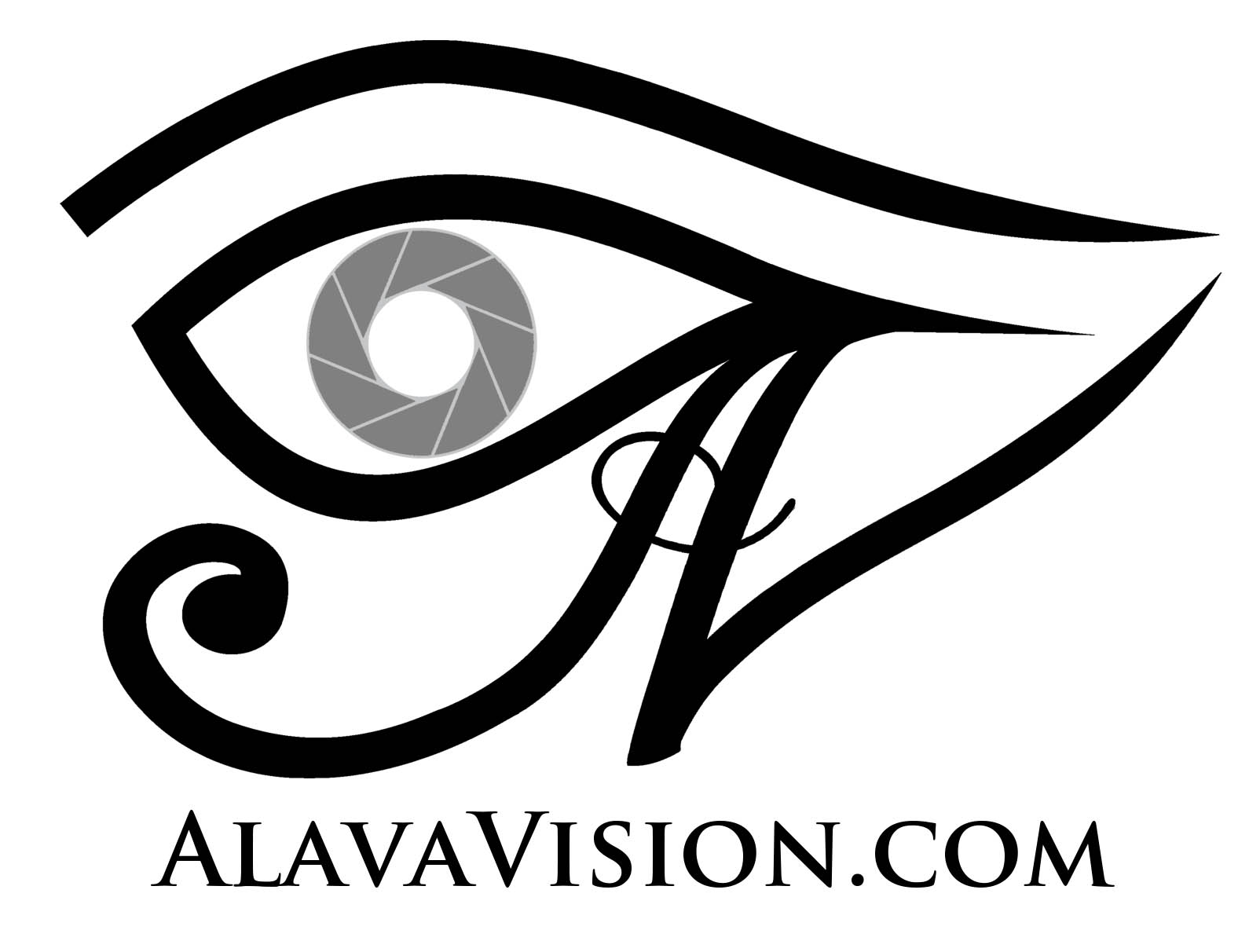 alavavision expochess